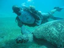 Do you wanna dive with giant turtles in Red Sea? Come & join us www.newsonbijou.com and get amazing DIVING day in Hurghada (Red Sea, Egypt)rGET WET! See you under the water :)