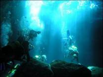 <p>Diving in the Blow Hole at Marazuel, Tenerife.</p>